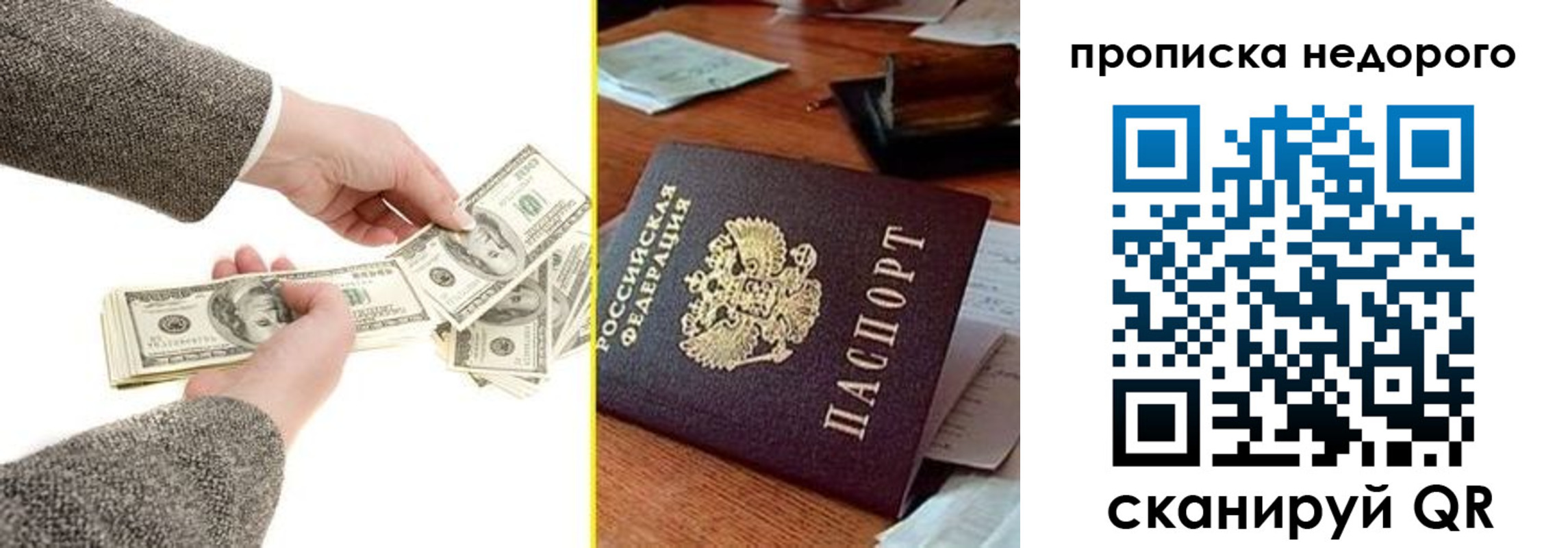 прописка для работы в Ставропольском крае